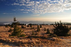 ráno na Kojšovskej holi