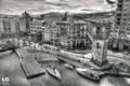 Savona