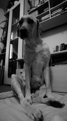 Maggie