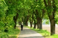 Nordic walking