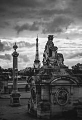 Dovidenia zajtra, Paríž