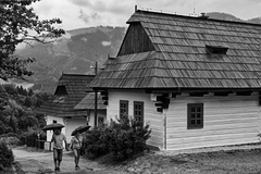 Dvojica v daždi ...