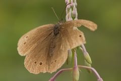 ... po náročnom dni.