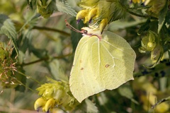 Keď je všetko dolu hlavou