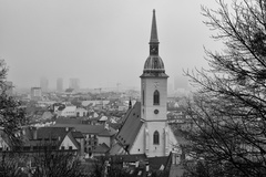 Mesto v hmle