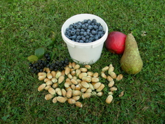 Zátišie