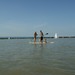 Neusiedler See