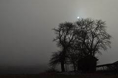 domček v hmle