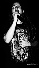 FUXo