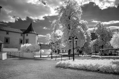 Zámocký park