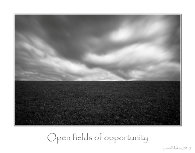 _open field