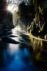 The Fairy Glen