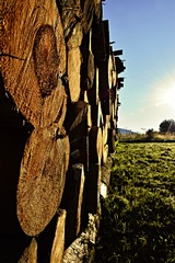 Habovka