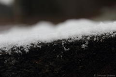 Detail lavičky