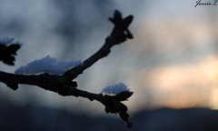 Keď napadne sneh...