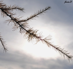 Keď sa zatiahnu oblaky...