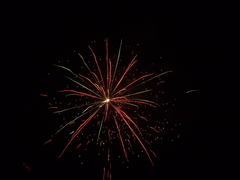 Silvester 2012