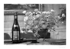 Champagne a kvety