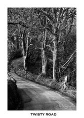 Twisty Road