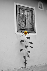 The power of life