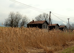 Trojičky