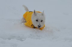 - Sammy -
