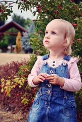 nelka
