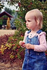 nelka