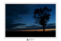 Stráčca posledných svetiel