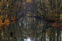 Novembrové zrkadlenie