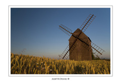 Podvečerná Saturácia Architektú