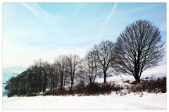 Zima,zima,zimička...