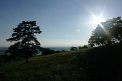 krajina