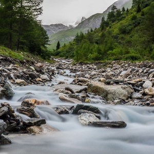 Nature in Austria