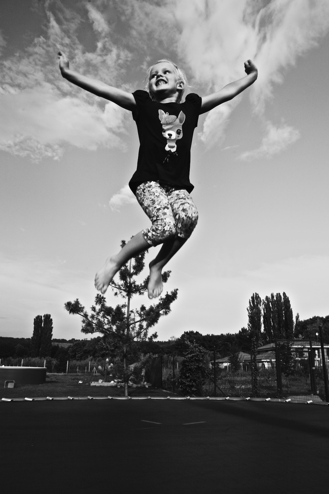 free as a bird