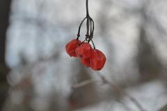 ..makro nastupuje