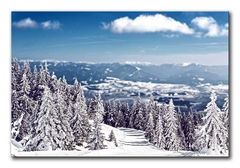 zima na martinkách...