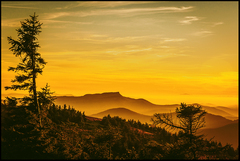 zlatistá krajina...