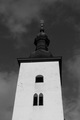 nemý svedok