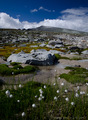 Snohetta (2286m)