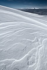Inverzia
