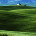 Tuscany in early Summer