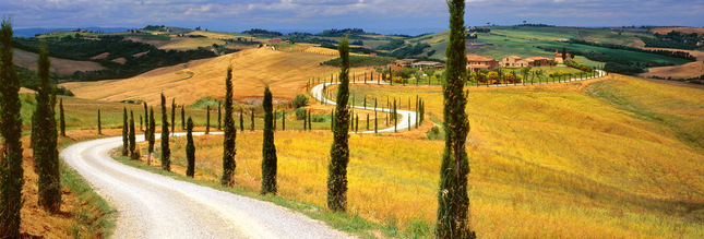 Tuscany in Summer