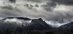 Orava
