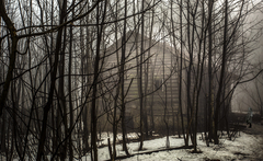 Blair Witch