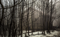 Blair Witch