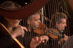 Koncert II