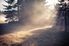 There is always a light