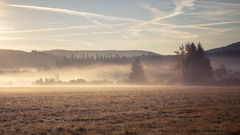 In the morning