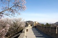 The Great Wall of China
